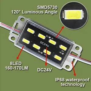 High-Brightness Monochrome Outdoor Waterproof Low-Voltage LED Module Lights